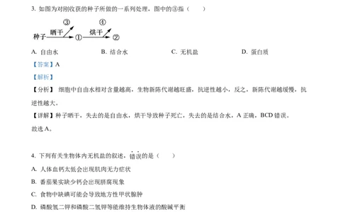 江苏省连云港市东海县2024-2025学年高一上学期期中考试生物试题Word版含解析_2024年12月试卷_1203江苏省连云港市东海县2024-2025学年高一上学期期中考试