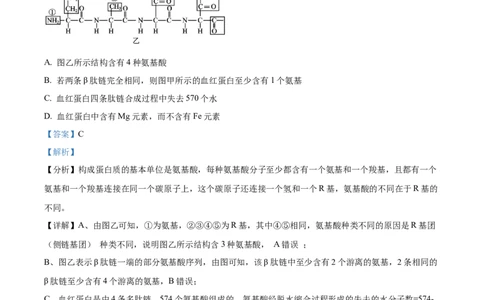 江苏省连云港市东海县2024-2025学年高一上学期期中考试生物试题Word版含解析_2024年12月试卷_1203江苏省连云港市东海县2024-2025学年高一上学期期中考试