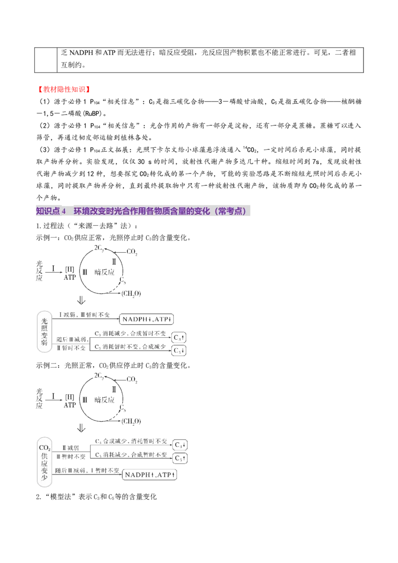 第10讲光合作用（第一课时）（讲义）（原卷版）_2025年新高考资料_一轮复习_2025年高考生物一轮复习讲练测（新教材新高考）