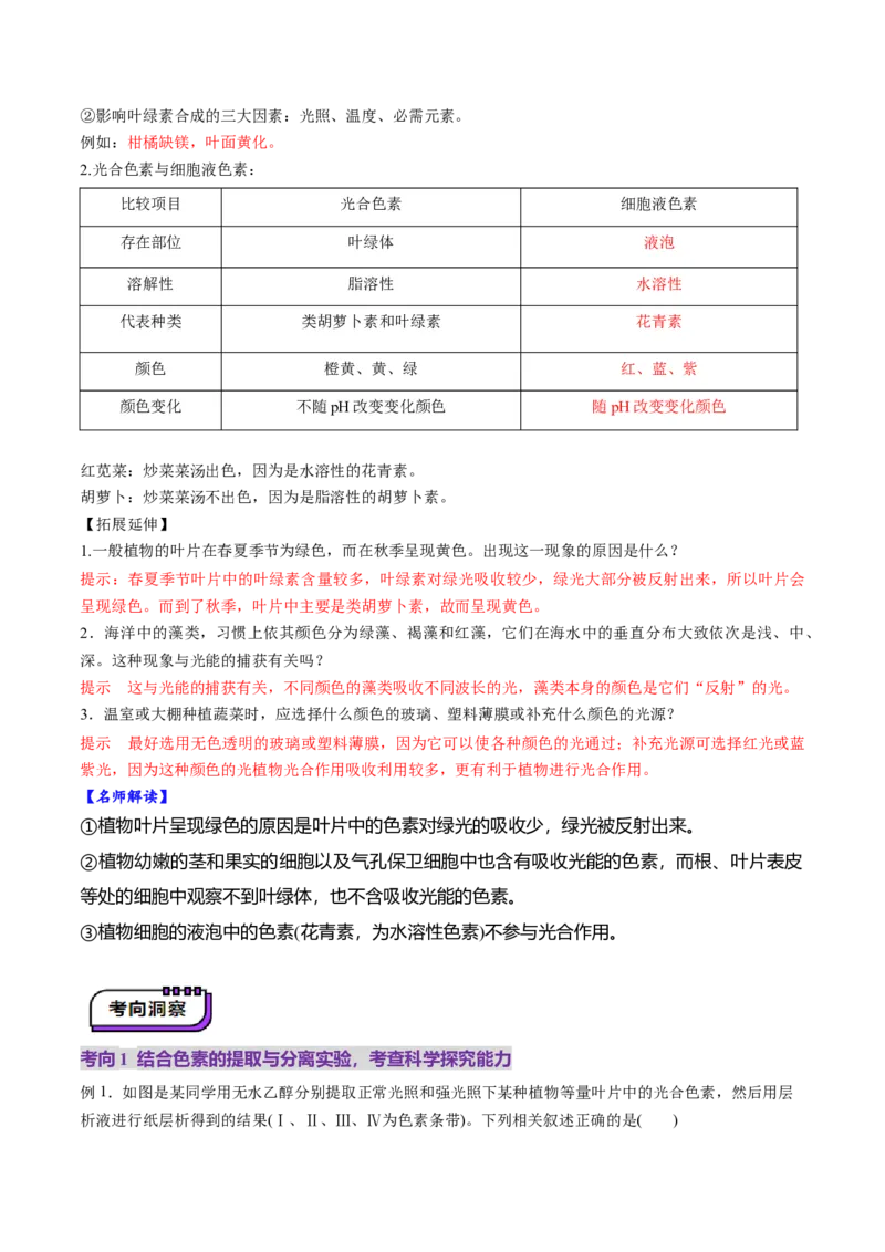 第10讲光合作用（第一课时）（讲义）（原卷版）_2025年新高考资料_一轮复习_2025年高考生物一轮复习讲练测（新教材新高考）
