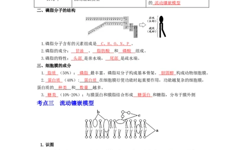 第8讲细胞膜的结构和功能-精准备考备战2023年高考生物一轮复习精品讲义（生物学必修1）（解析版）_通用版（老高考）复习资料_2023年复习资料_一轮复习