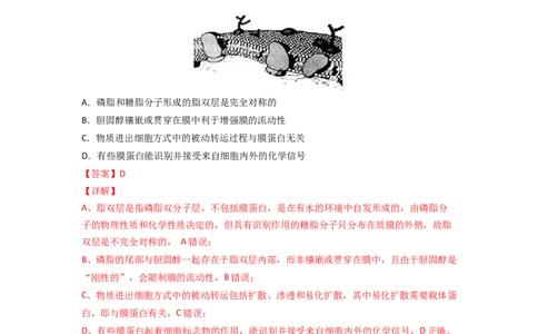 第8讲细胞膜的结构和功能-精准备考备战2023年高考生物一轮复习精品讲义（生物学必修1）（解析版）_通用版（老高考）复习资料_2023年复习资料_一轮复习