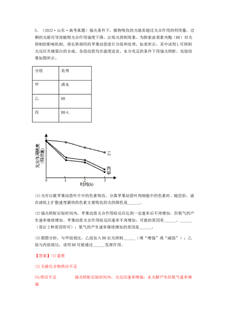 考点12光合作用（核心考点讲与练）-2023年高考生物一轮复习讲练测（全国通用）（解析版）_通用版（老高考）复习资料_2023年复习资料_一轮复习