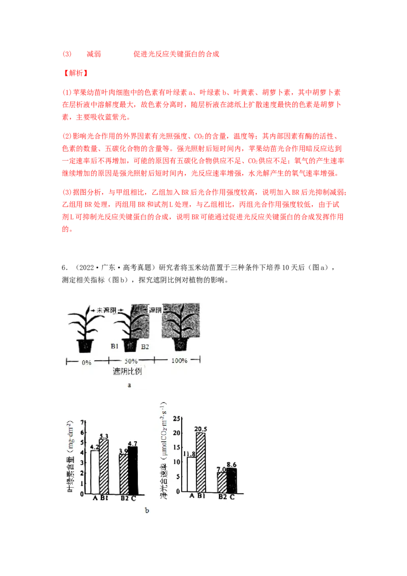 考点12光合作用（核心考点讲与练）-2023年高考生物一轮复习讲练测（全国通用）（解析版）_通用版（老高考）复习资料_2023年复习资料_一轮复习