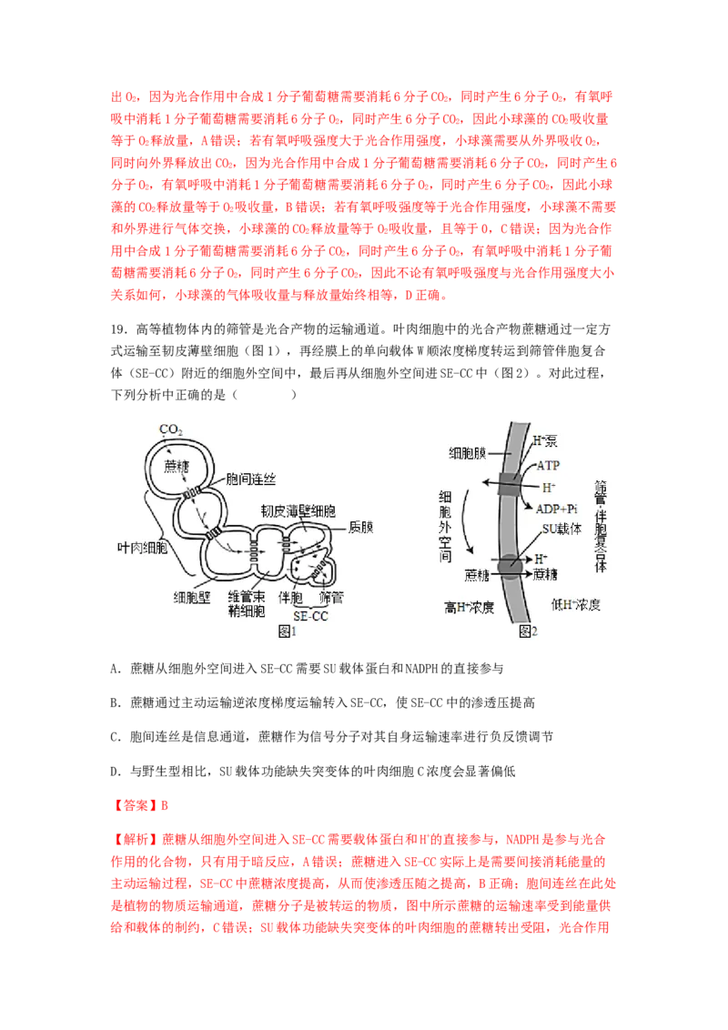 考点12光合作用（核心考点讲与练）-2023年高考生物一轮复习讲练测（全国通用）（解析版）_通用版（老高考）复习资料_2023年复习资料_一轮复习