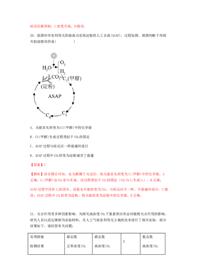 考点12光合作用（核心考点讲与练）-2023年高考生物一轮复习讲练测（全国通用）（解析版）_通用版（老高考）复习资料_2023年复习资料_一轮复习