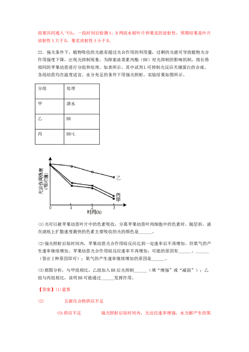 考点12光合作用（核心考点讲与练）-2023年高考生物一轮复习讲练测（全国通用）（解析版）_通用版（老高考）复习资料_2023年复习资料_一轮复习