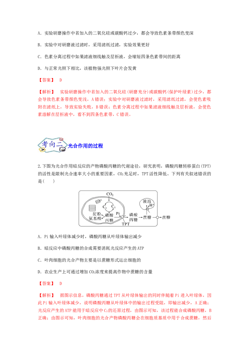 考点12光合作用（核心考点讲与练）-2023年高考生物一轮复习讲练测（全国通用）（解析版）_通用版（老高考）复习资料_2023年复习资料_一轮复习