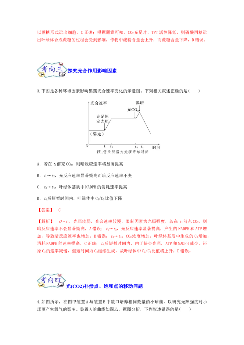考点12光合作用（核心考点讲与练）-2023年高考生物一轮复习讲练测（全国通用）（解析版）_通用版（老高考）复习资料_2023年复习资料_一轮复习