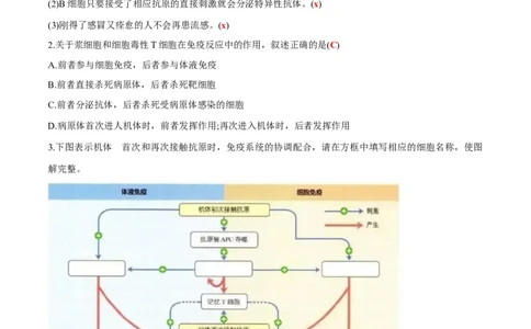 第4章免疫调节-查漏补缺2023年高考生物一轮复习教材必背细节与旁栏思考梳理汇总（新教材）（答案版）_新高考复习资料_2023年新高考复习资料_一轮复习
