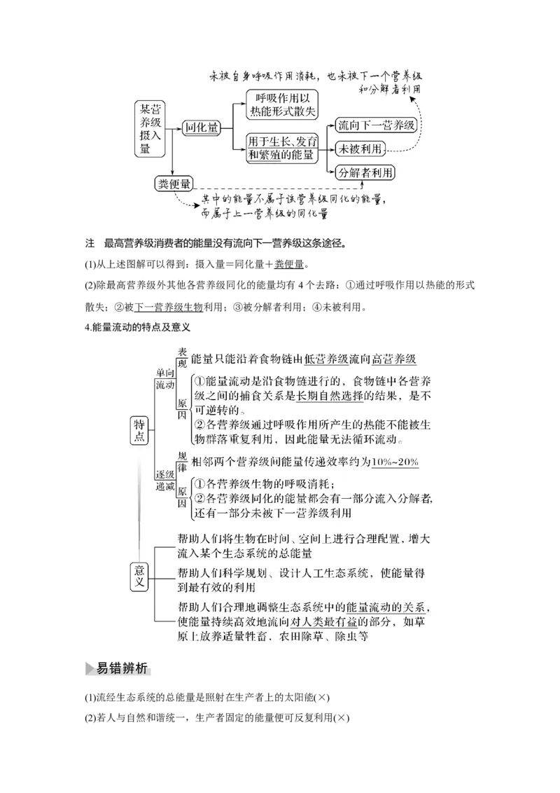 第29讲　生态系统及其稳定性_新高考复习资料_2023年新高考复习资料_一轮复习_2023年新高考大一轮复习讲义_2023年高考生物一轮复习讲义（新人教新高考）_赠补充习题