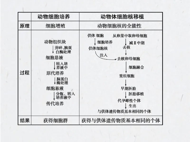 考点精讲15细胞工程（教案）_新高考复习资料_2022年新高考复习资料_2022届一轮复习讲练结合7.13更新_系列二_考点精讲15细胞工程