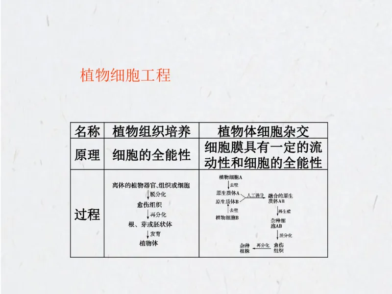 考点精讲15细胞工程（教案）_新高考复习资料_2022年新高考复习资料_2022届一轮复习讲练结合7.13更新_系列二_考点精讲15细胞工程