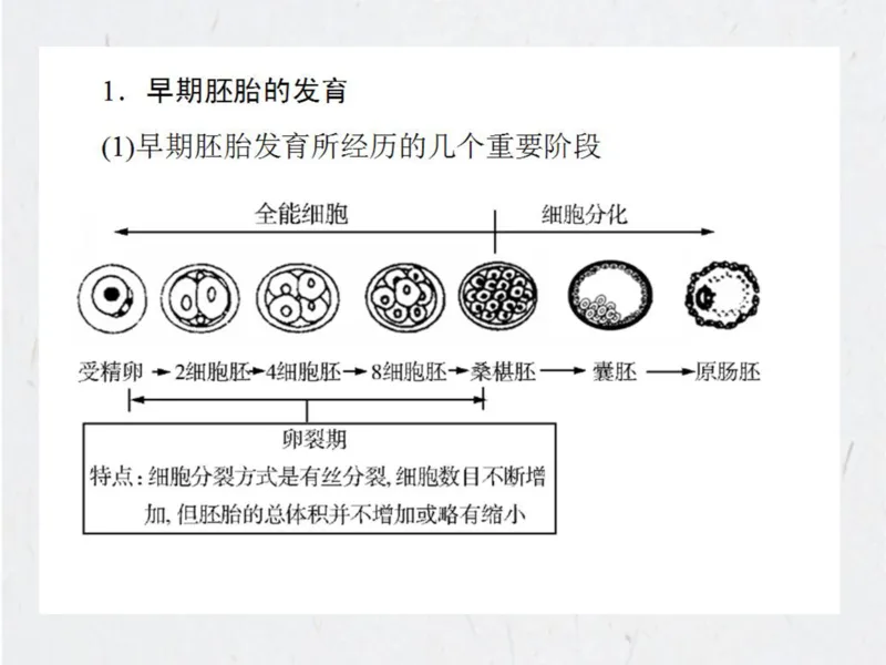 考点精讲15细胞工程（教案）_新高考复习资料_2022年新高考复习资料_2022届一轮复习讲练结合7.13更新_系列二_考点精讲15细胞工程