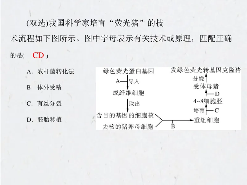 考点精讲15细胞工程（教案）_新高考复习资料_2022年新高考复习资料_2022届一轮复习讲练结合7.13更新_系列二_考点精讲15细胞工程