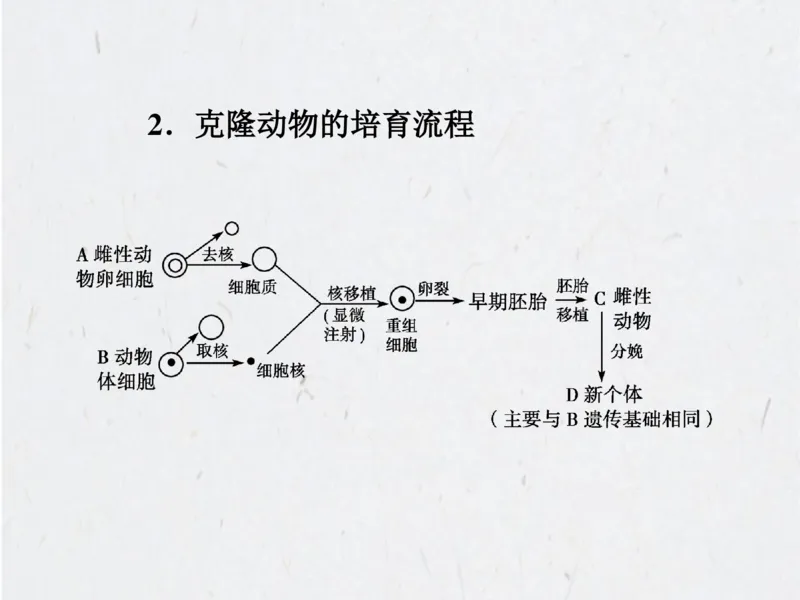 考点精讲15细胞工程（教案）_新高考复习资料_2022年新高考复习资料_2022届一轮复习讲练结合7.13更新_系列二_考点精讲15细胞工程