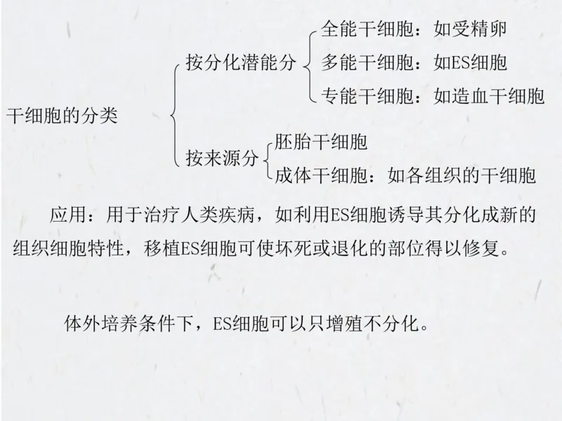 考点精讲15细胞工程（教案）_新高考复习资料_2022年新高考复习资料_2022届一轮复习讲练结合7.13更新_系列二_考点精讲15细胞工程
