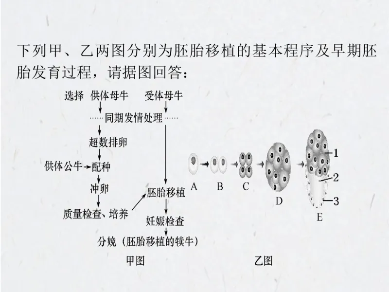 考点精讲15细胞工程（教案）_新高考复习资料_2022年新高考复习资料_2022届一轮复习讲练结合7.13更新_系列二_考点精讲15细胞工程