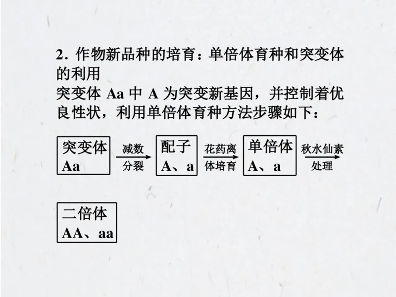考点精讲15细胞工程（教案）_新高考复习资料_2022年新高考复习资料_2022届一轮复习讲练结合7.13更新_系列二_考点精讲15细胞工程