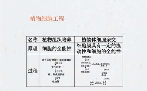 考点精讲15细胞工程（教案）_新高考复习资料_2022年新高考复习资料_2022届一轮复习讲练结合7.13更新_系列二_考点精讲15细胞工程