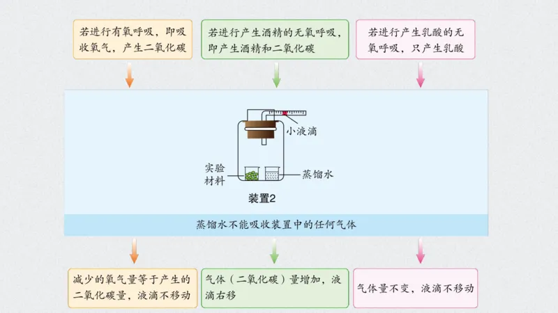 考点精讲5细胞呼吸的原理和应用（教案）_新高考复习资料_2022年新高考复习资料_2022届一轮复习讲练结合7.13更新_系列二_考点精讲5细胞呼吸的原理和应用