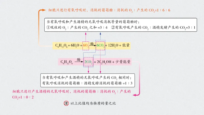 考点精讲5细胞呼吸的原理和应用（教案）_新高考复习资料_2022年新高考复习资料_2022届一轮复习讲练结合7.13更新_系列二_考点精讲5细胞呼吸的原理和应用