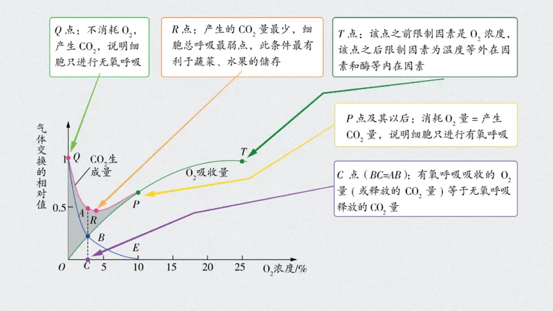 考点精讲5细胞呼吸的原理和应用（教案）_新高考复习资料_2022年新高考复习资料_2022届一轮复习讲练结合7.13更新_系列二_考点精讲5细胞呼吸的原理和应用