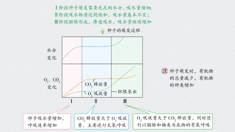 考点精讲5细胞呼吸的原理和应用（教案）_新高考复习资料_2022年新高考复习资料_2022届一轮复习讲练结合7.13更新_系列二_考点精讲5细胞呼吸的原理和应用