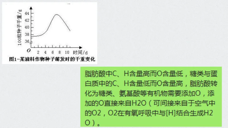 考点精讲5细胞呼吸的原理和应用（教案）_新高考复习资料_2022年新高考复习资料_2022届一轮复习讲练结合7.13更新_系列二_考点精讲5细胞呼吸的原理和应用