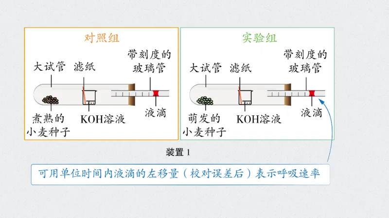 考点精讲5细胞呼吸的原理和应用（教案）_新高考复习资料_2022年新高考复习资料_2022届一轮复习讲练结合7.13更新_系列二_考点精讲5细胞呼吸的原理和应用