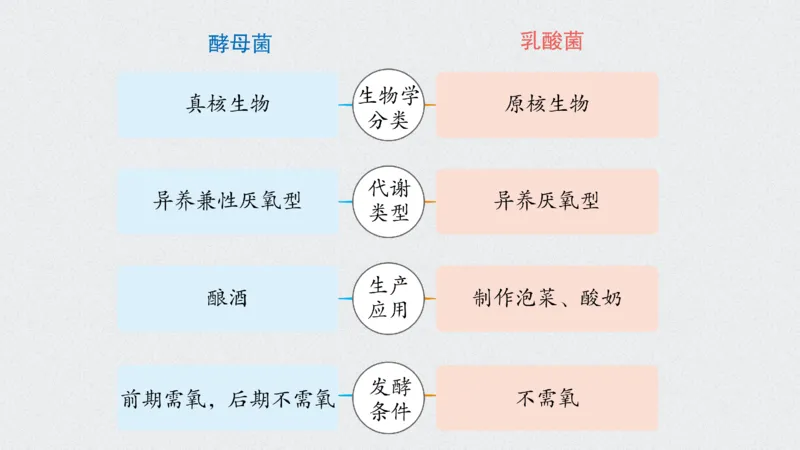 考点精讲5细胞呼吸的原理和应用（教案）_新高考复习资料_2022年新高考复习资料_2022届一轮复习讲练结合7.13更新_系列二_考点精讲5细胞呼吸的原理和应用