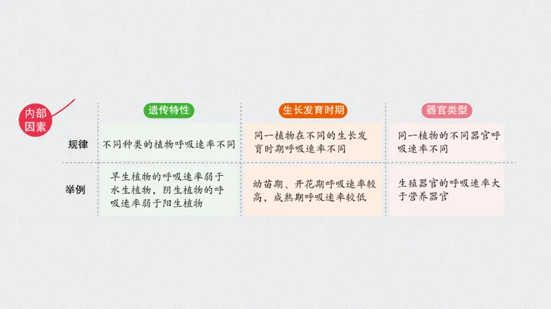 考点精讲5细胞呼吸的原理和应用（教案）_新高考复习资料_2022年新高考复习资料_2022届一轮复习讲练结合7.13更新_系列二_考点精讲5细胞呼吸的原理和应用