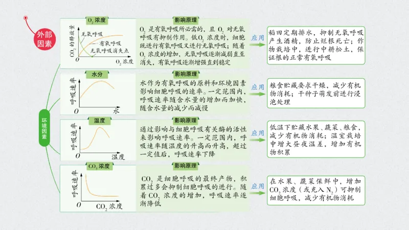 考点精讲5细胞呼吸的原理和应用（教案）_新高考复习资料_2022年新高考复习资料_2022届一轮复习讲练结合7.13更新_系列二_考点精讲5细胞呼吸的原理和应用