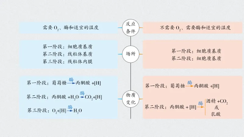 考点精讲5细胞呼吸的原理和应用（教案）_新高考复习资料_2022年新高考复习资料_2022届一轮复习讲练结合7.13更新_系列二_考点精讲5细胞呼吸的原理和应用