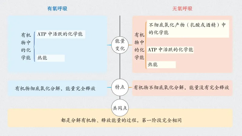 考点精讲5细胞呼吸的原理和应用（教案）_新高考复习资料_2022年新高考复习资料_2022届一轮复习讲练结合7.13更新_系列二_考点精讲5细胞呼吸的原理和应用