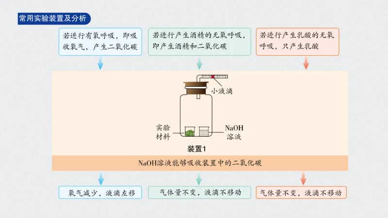 考点精讲5细胞呼吸的原理和应用（教案）_新高考复习资料_2022年新高考复习资料_2022届一轮复习讲练结合7.13更新_系列二_考点精讲5细胞呼吸的原理和应用