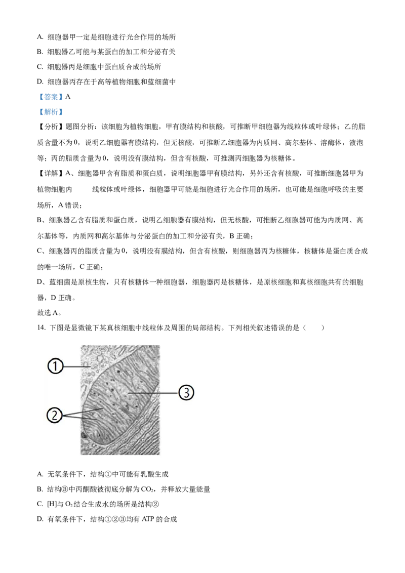 广西壮族自治区河池市2024-2025学年高一上学期1月期末生物试题Word版含解析_2025年03月试卷_0314广西壮族自治区河池市2024-2025学年高一上学期1月期末考试