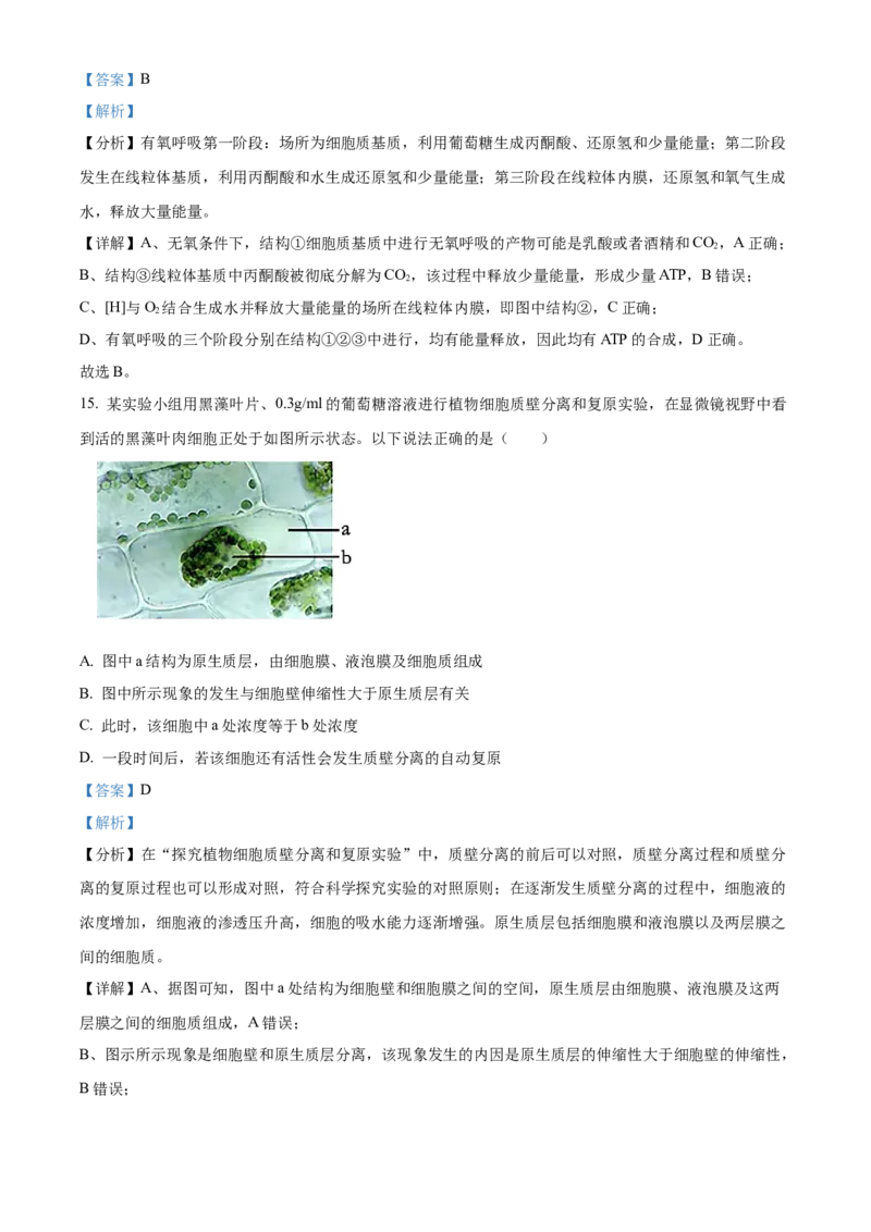 广西壮族自治区河池市2024-2025学年高一上学期1月期末生物试题Word版含解析_2025年03月试卷_0314广西壮族自治区河池市2024-2025学年高一上学期1月期末考试