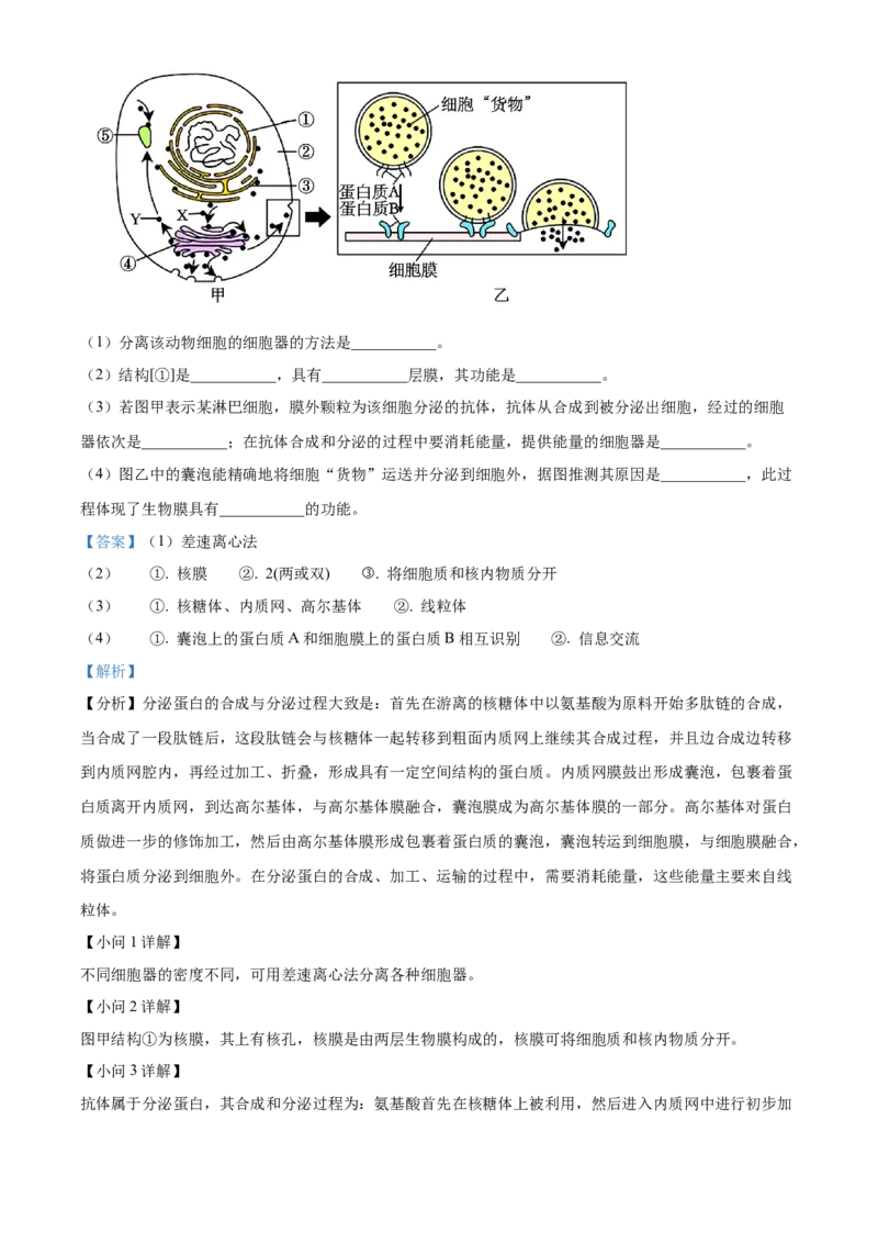 广西壮族自治区河池市2024-2025学年高一上学期1月期末生物试题Word版含解析_2025年03月试卷_0314广西壮族自治区河池市2024-2025学年高一上学期1月期末考试