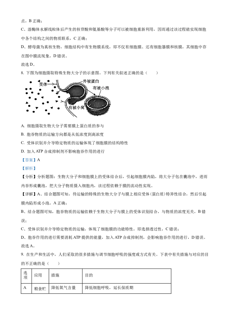 广西壮族自治区河池市2024-2025学年高一上学期1月期末生物试题Word版含解析_2025年03月试卷_0314广西壮族自治区河池市2024-2025学年高一上学期1月期末考试