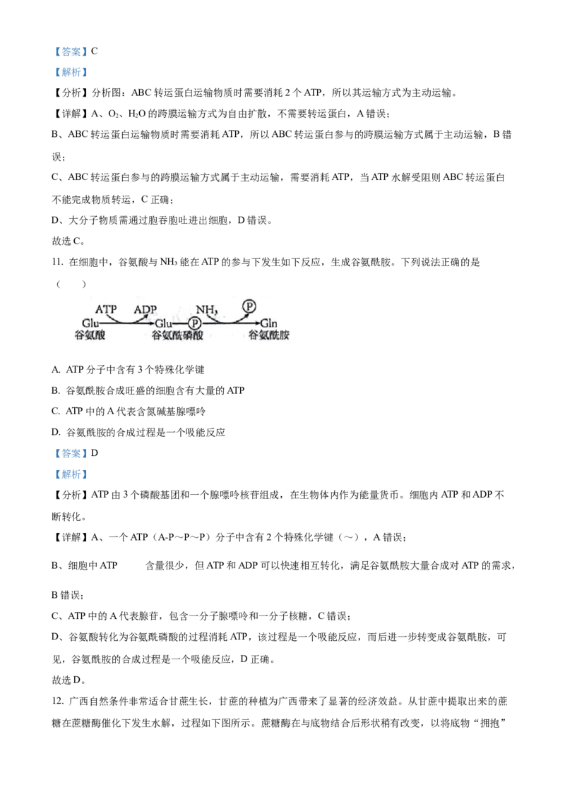 广西壮族自治区河池市2024-2025学年高一上学期1月期末生物试题Word版含解析_2025年03月试卷_0314广西壮族自治区河池市2024-2025学年高一上学期1月期末考试