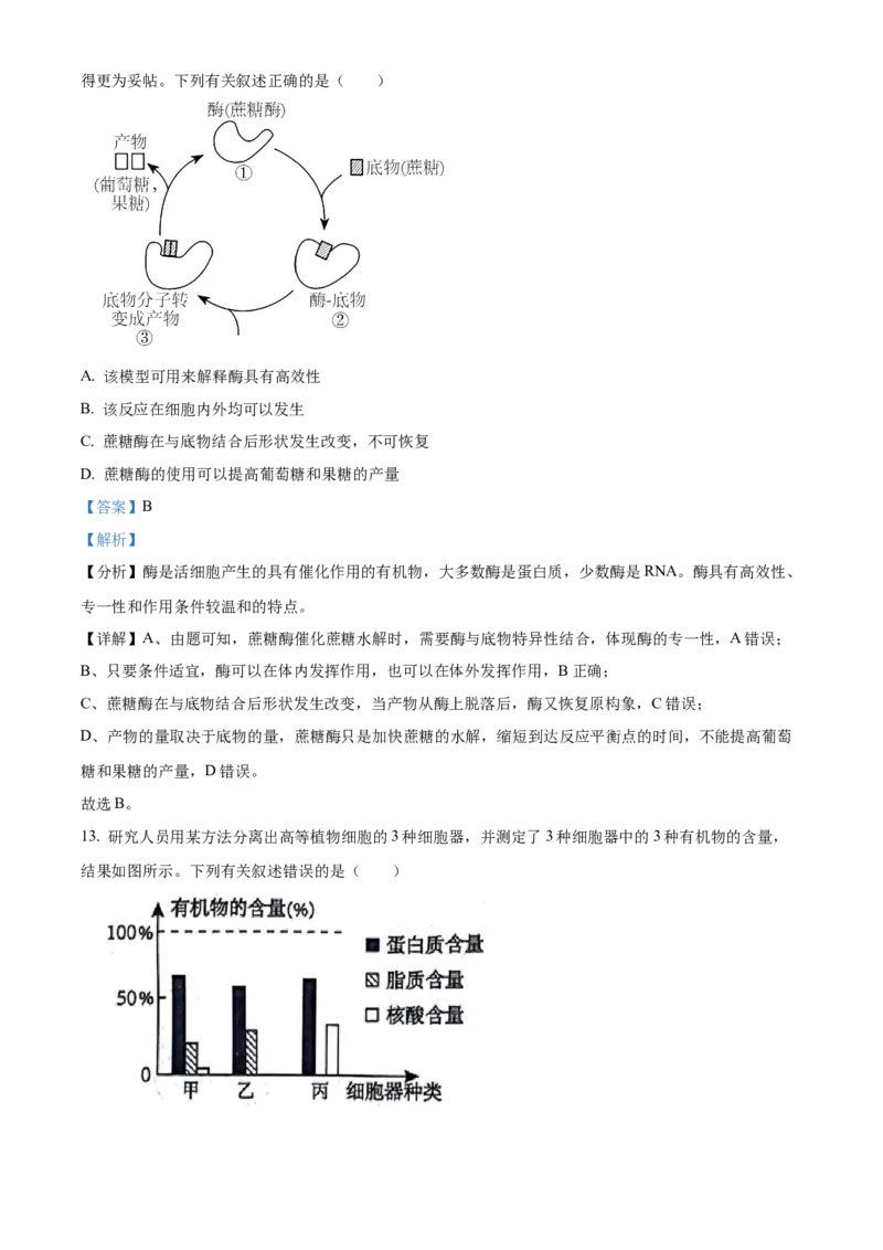 广西壮族自治区河池市2024-2025学年高一上学期1月期末生物试题Word版含解析_2025年03月试卷_0314广西壮族自治区河池市2024-2025学年高一上学期1月期末考试