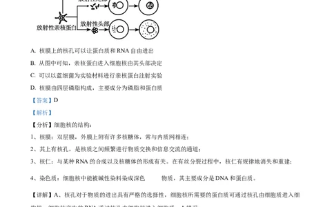 广西壮族自治区河池市2024-2025学年高一上学期1月期末生物试题Word版含解析_2025年03月试卷_0314广西壮族自治区河池市2024-2025学年高一上学期1月期末考试