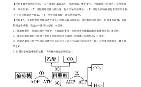 广西壮族自治区河池市2024-2025学年高一上学期1月期末生物试题Word版含解析_2025年03月试卷_0314广西壮族自治区河池市2024-2025学年高一上学期1月期末考试