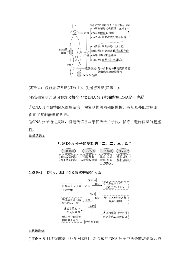 第17讲DNA的结构、复制及基因的本质_通用版（老高考）复习资料_2023年复习资料_一轮复习_2023年高考生物一轮复习讲义+课件（全国版）_2023年高考生物一轮复习讲义（全国版）