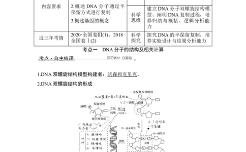 第17讲DNA的结构、复制及基因的本质_通用版（老高考）复习资料_2023年复习资料_一轮复习_2023年高考生物一轮复习讲义+课件（全国版）_2023年高考生物一轮复习讲义（全国版）