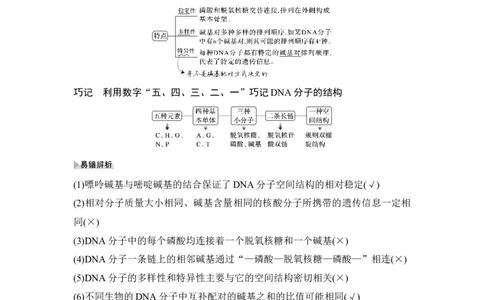 第17讲DNA的结构、复制及基因的本质_通用版（老高考）复习资料_2023年复习资料_一轮复习_2023年高考生物一轮复习讲义+课件（全国版）_2023年高考生物一轮复习讲义（全国版）