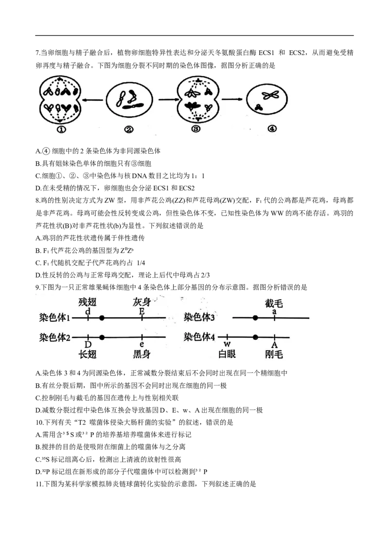天津市五区县重点校联考2024-2025学年高一下学期4月期中生物试卷_2025年05月试卷_0527天津市五区县重点校联考2024-2025学年高一下学期4月期中考试