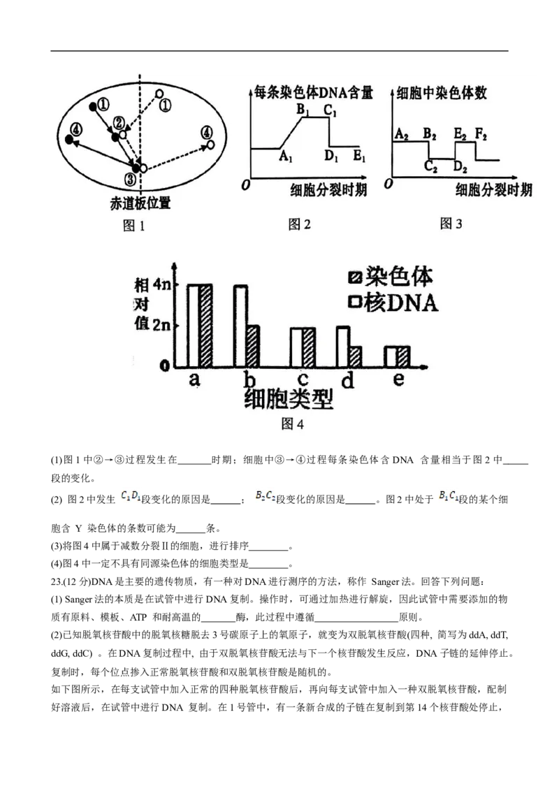 天津市五区县重点校联考2024-2025学年高一下学期4月期中生物试卷_2025年05月试卷_0527天津市五区县重点校联考2024-2025学年高一下学期4月期中考试