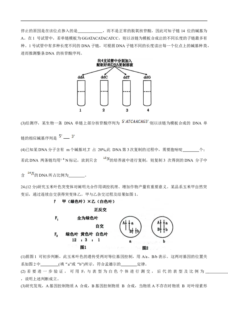 天津市五区县重点校联考2024-2025学年高一下学期4月期中生物试卷_2025年05月试卷_0527天津市五区县重点校联考2024-2025学年高一下学期4月期中考试